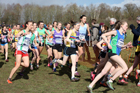 Senior womens 2019 British Athletics Inter Counties Cross Country, Prestwood Hall, Loughborough. Photo:  David T. Hewitson/Sports for All Pics